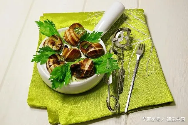 致富经蜗牛养殖视频_蜗牛养殖致富视频_每日农经蜗牛养殖视频