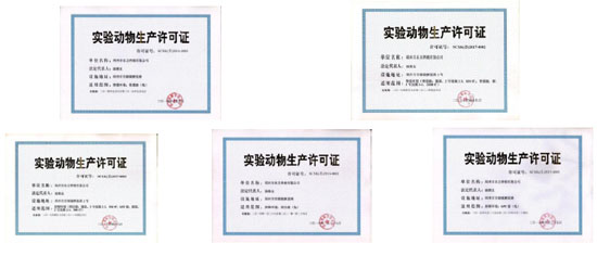 发挥市场机制优势，促进我国实验动物产业发展