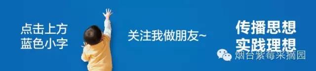 致富新宠 ▌台湾长果桑栽培技术