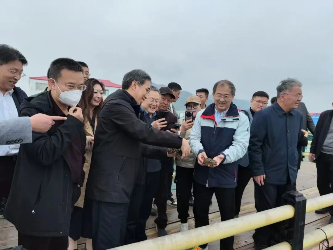 海参养殖视频教程_养殖海参致富视频_致富经海参养殖视频