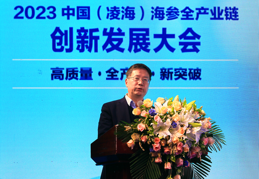 养殖海参致富视频_致富经海参养殖视频_海参养殖视频教程