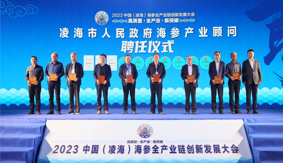 养殖海参致富视频_海参养殖视频教程_致富经海参养殖视频