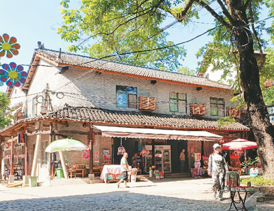 中央致富计划_中央七致富经之枸杞_中央农业频道致富鱼