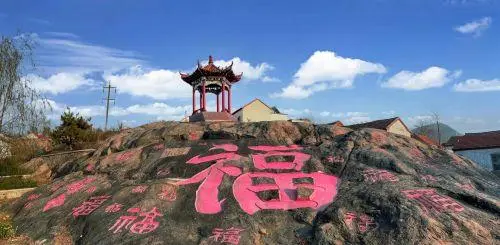 蜜薯种植条件_蜜薯种植效益_香蜜薯种植致富