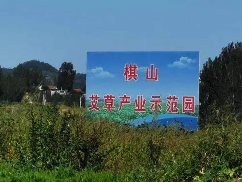 香蜜薯种植致富_蜜薯种植效益_蜜薯种植条件