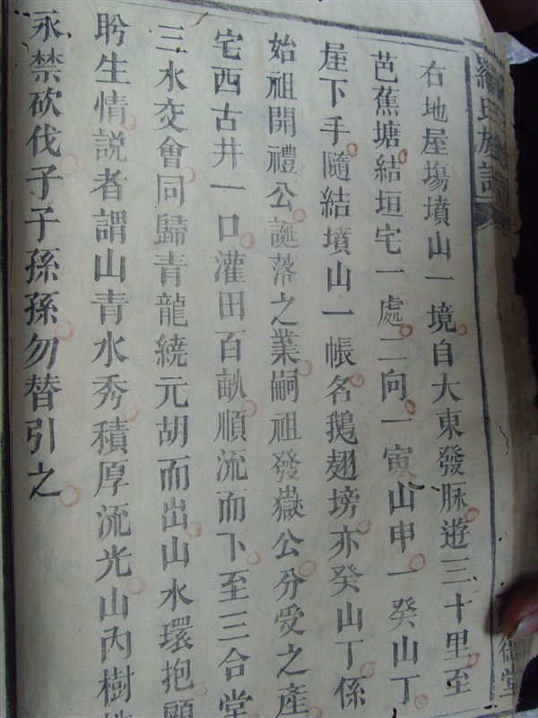 视频致富狐狸养殖播放在线观看_养狐狸的视频_致富经狐狸养殖视频播放