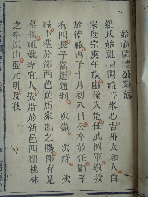 养狐狸的视频_视频致富狐狸养殖播放在线观看_致富经狐狸养殖视频播放