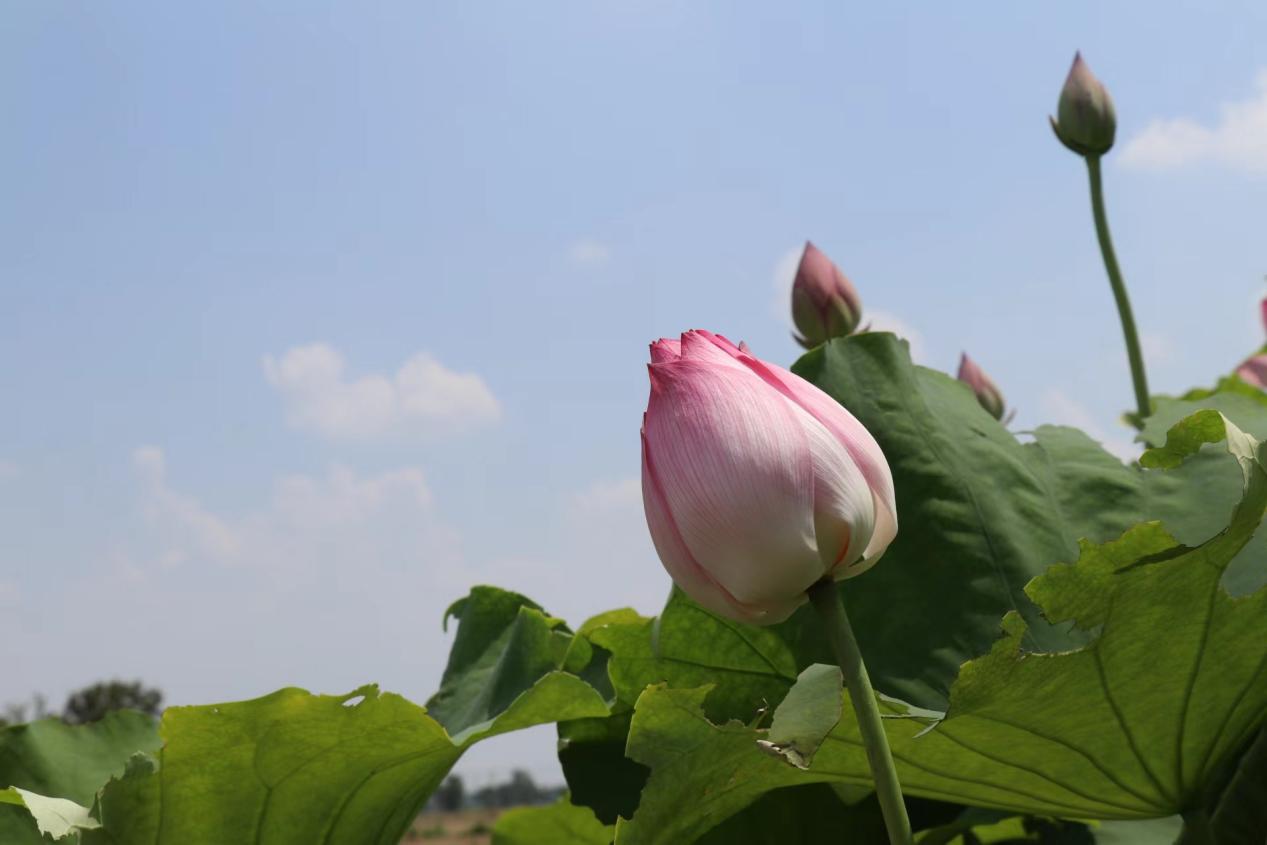 image003