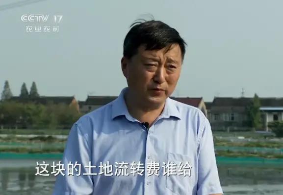 江苏泰州泰兴市男子养大闸蟹，年销售额3500万元