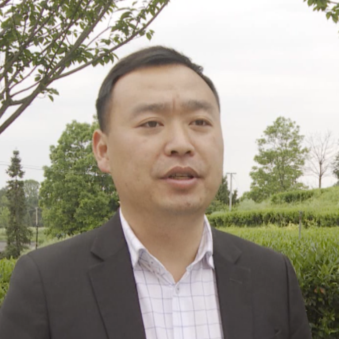 茶叶种植助力脱贫攻坚_茶叶种植带头致富_茶叶致富经