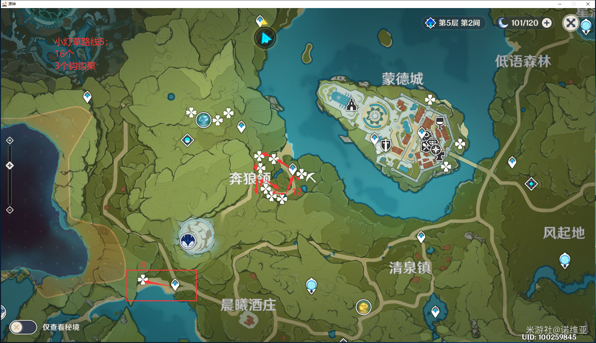 上东浦英歌教练_浦公英种植技术_浦江黄桔英找鸭子