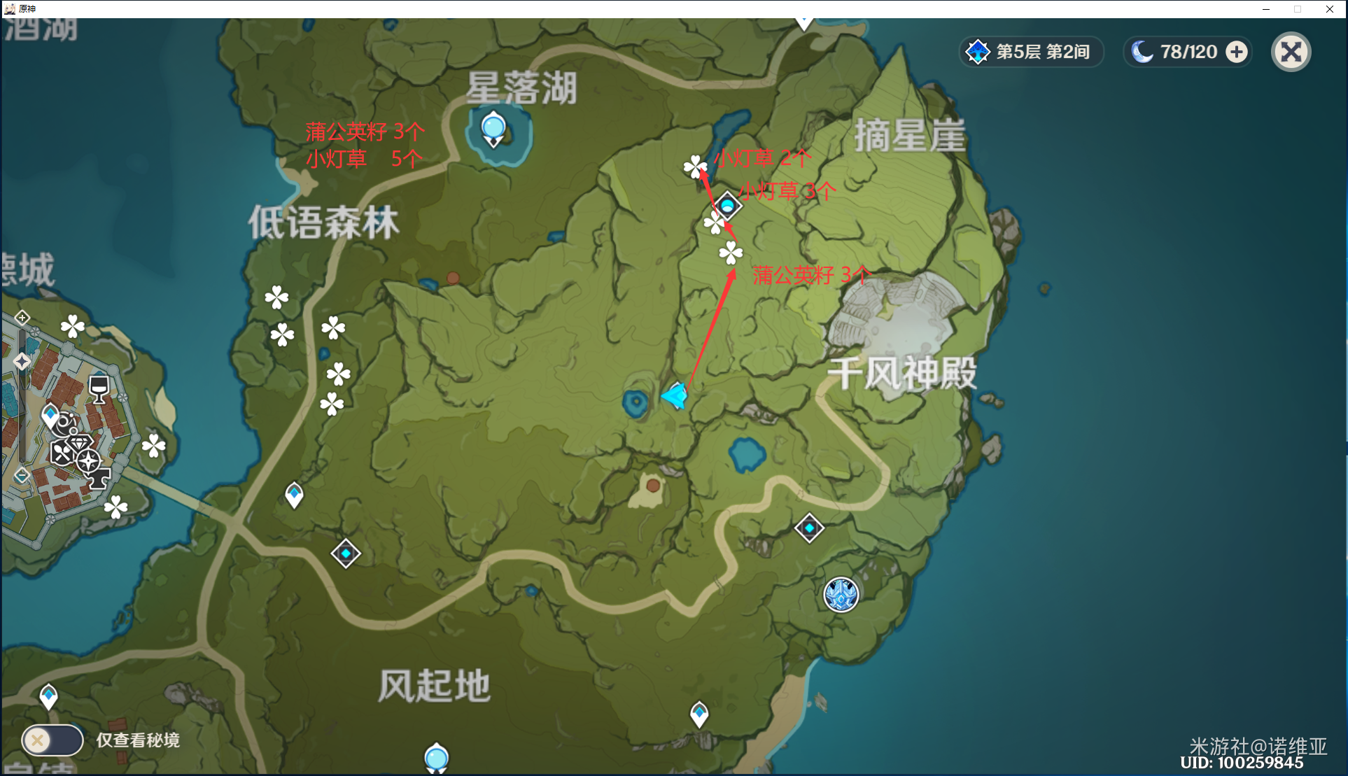 浦江黄桔英找鸭子_上东浦英歌教练_浦公英种植技术