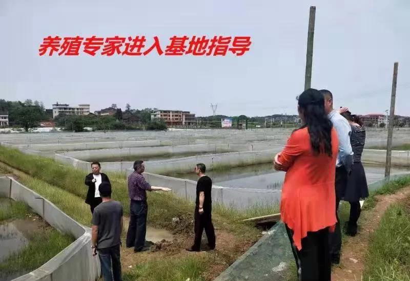 兄弟养殖致富视频_养殖致富经2019年全集_养殖致富之路