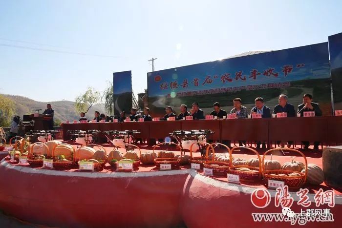 致富种植农民地瓜图片_农民种植地瓜致富_种地瓜效益