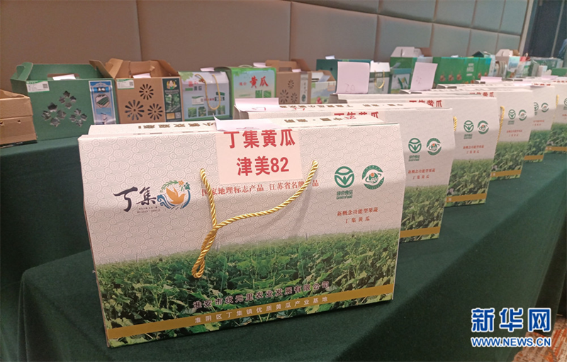 黄瓜种植大棚一年利润_大棚种植黄瓜致富_黄瓜大棚种植视频