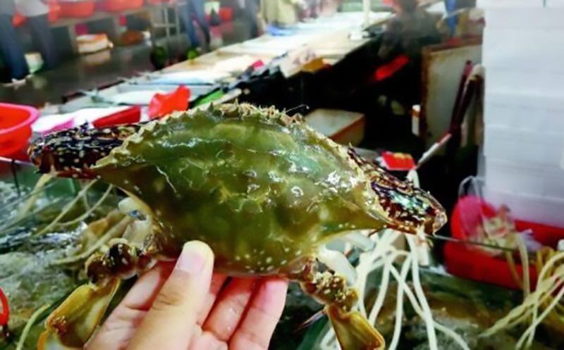 农业养殖致富经_个人农业养殖致富_致富养殖农业个人总结