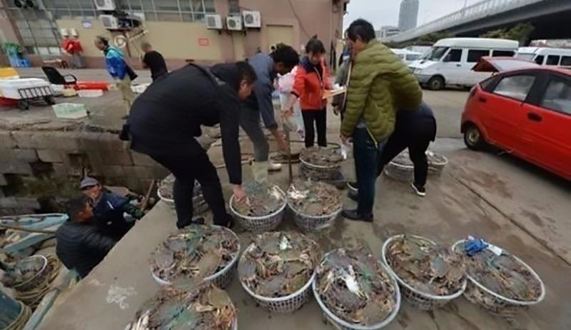 个人农业养殖致富_农业养殖致富经_致富养殖农业个人总结