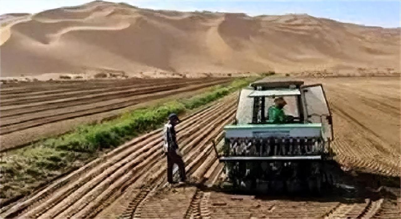 沙漠种草致富经视频_致富经沙漠上建村庄_沙漠村民