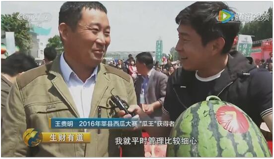 全国出名了！莘县董杜庄西瓜登央视二套《生财有道》