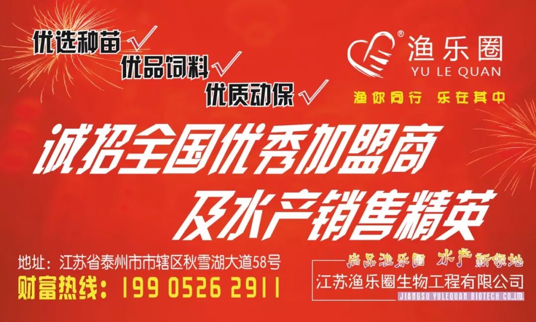 养殖水鱼前景好吗_养殖水鱼视频_无水鱼的养殖技术