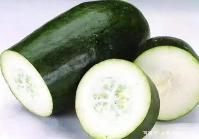 冬瓜苗种植技术_苗冬瓜种植技术与管理_冬瓜苗图片