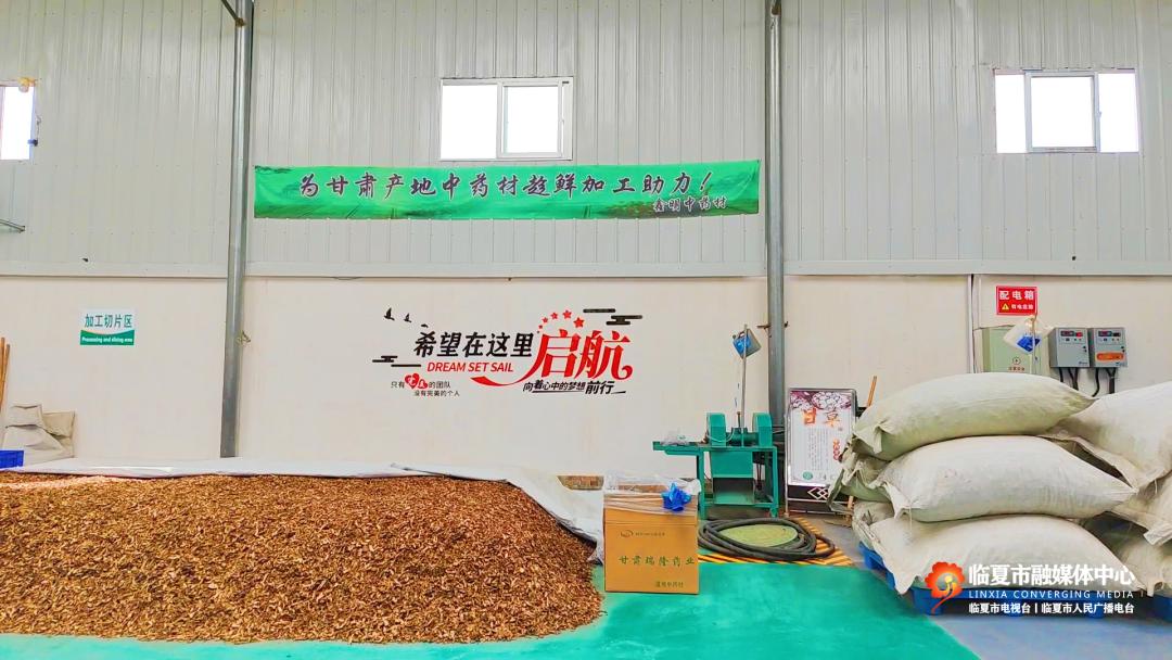 农民种植药材致富_致富药材种植农民视频_农村致富经中药材种植