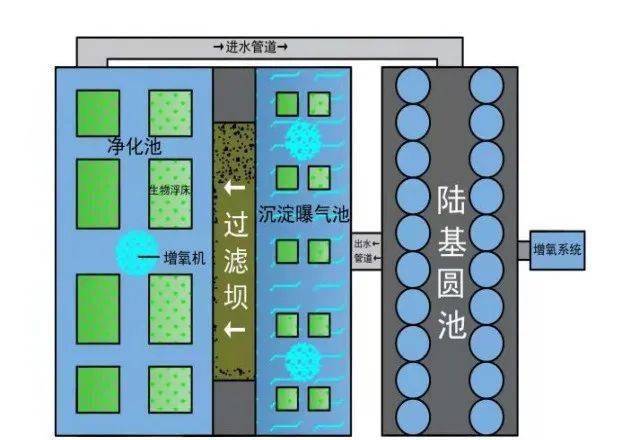 流水养殖草鱼网箱技术要求_流水网箱养殖草鱼技术_流水养殖草鱼网箱技术规范