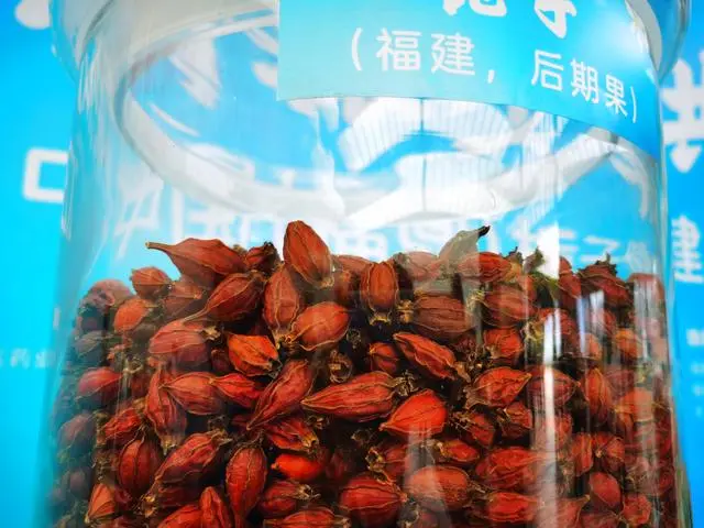 致富种植视频全集_致富苗种植技术_致富苗种植技术要求