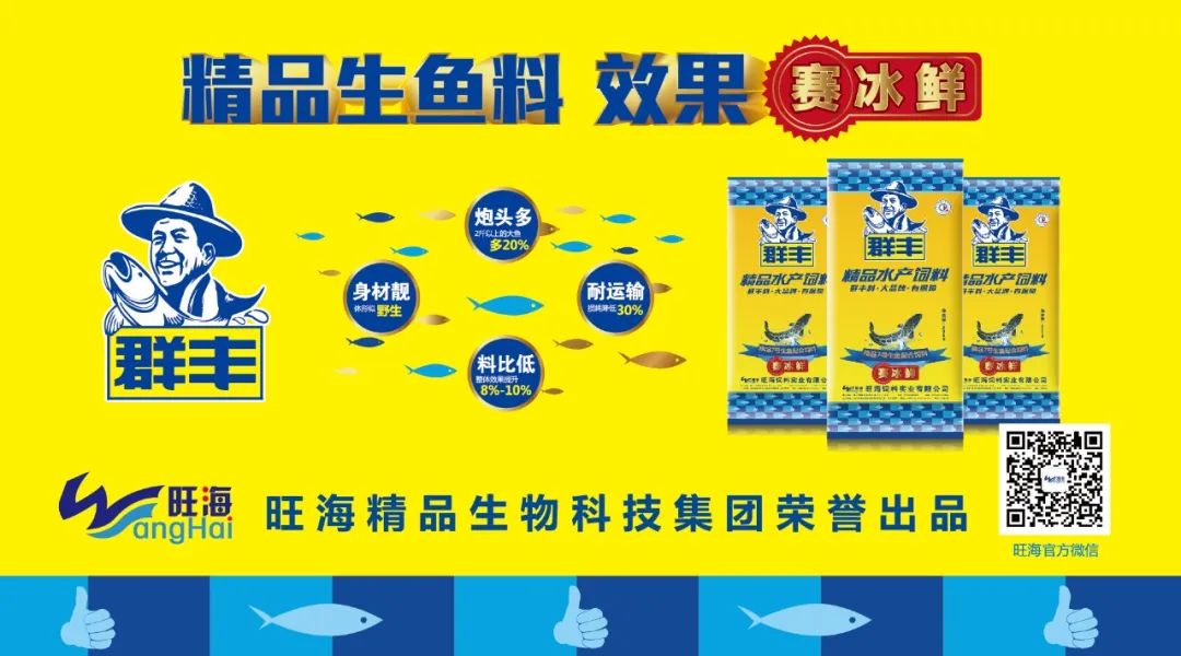 养殖水鱼无技术可以养吗_无水鱼的养殖技术_养殖水鱼视频