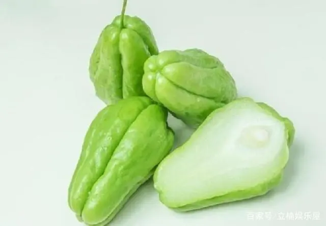 致富苗种植技术与管理_致富苗种植技术_致富苗种植技术要求