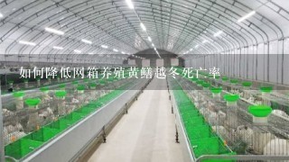 如何降低网箱养殖黄鳝越冬死亡率