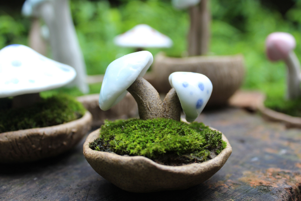 野生菌里含有大量的蛆，还能吃吗？为什么野生菌会长蛆？