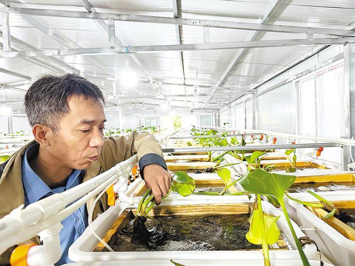 网箱养殖鳝鱼及自配饲料视频_鳝鱼网箱养殖技术视频_黄鳝的网箱养殖技术视频