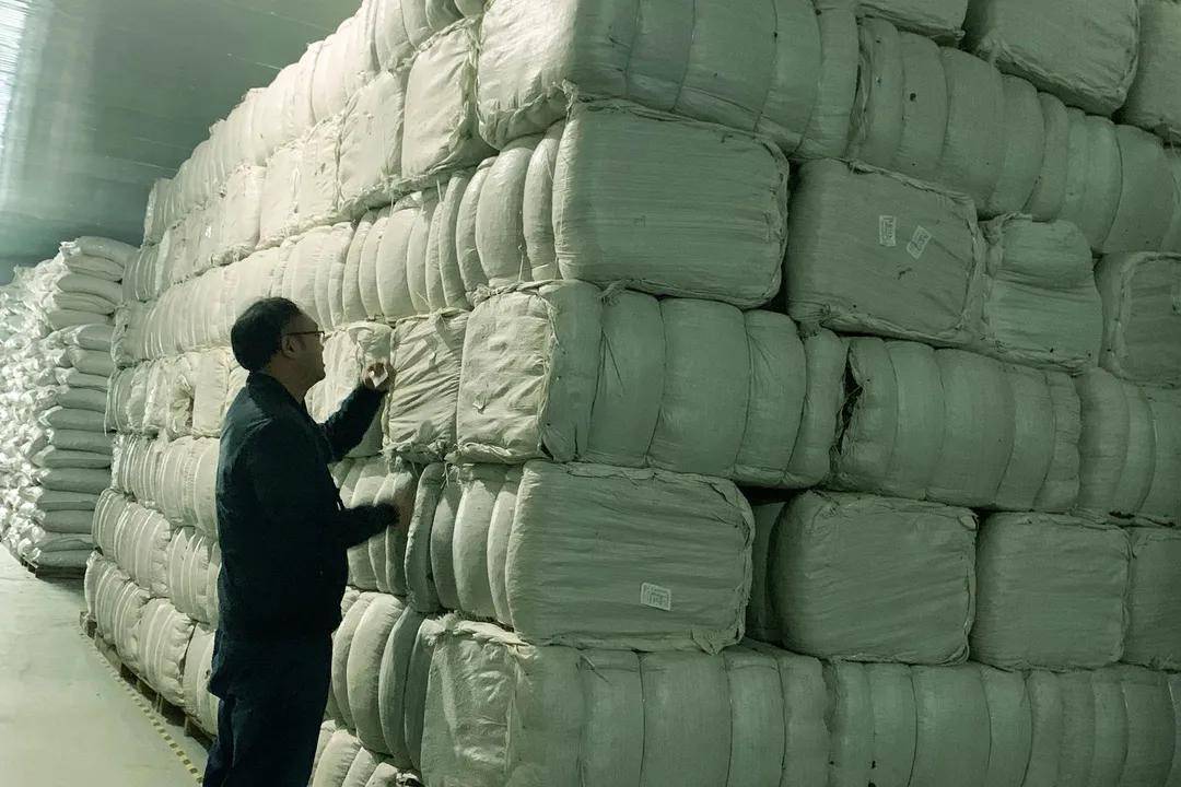 鱼腥草水上种植技术_种植鱼腥草用什么肥最好_鱼腥草水田种植技术视频