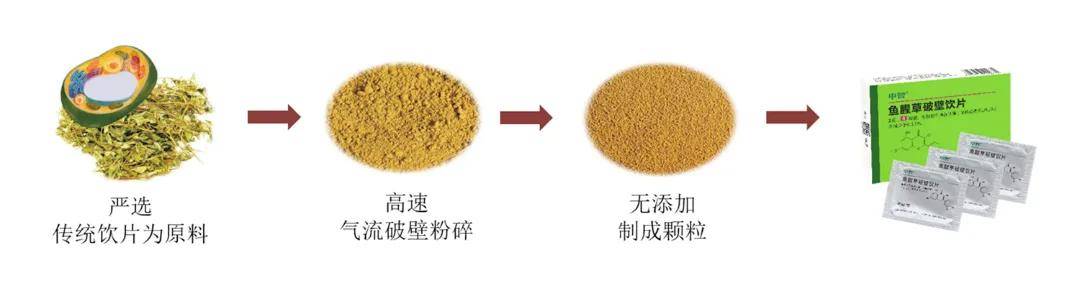 鱼腥草水田种植技术视频_种植鱼腥草用什么肥最好_鱼腥草水上种植技术