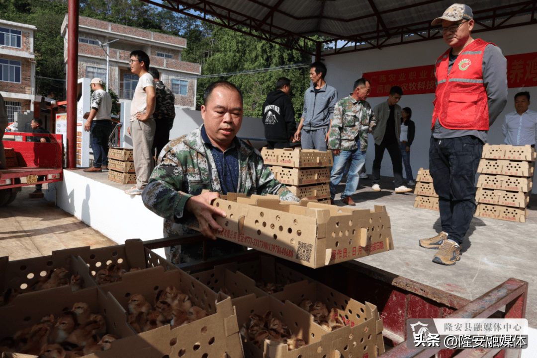 致富养殖排名行业有哪些_养殖致富行业排名_致富养殖项目