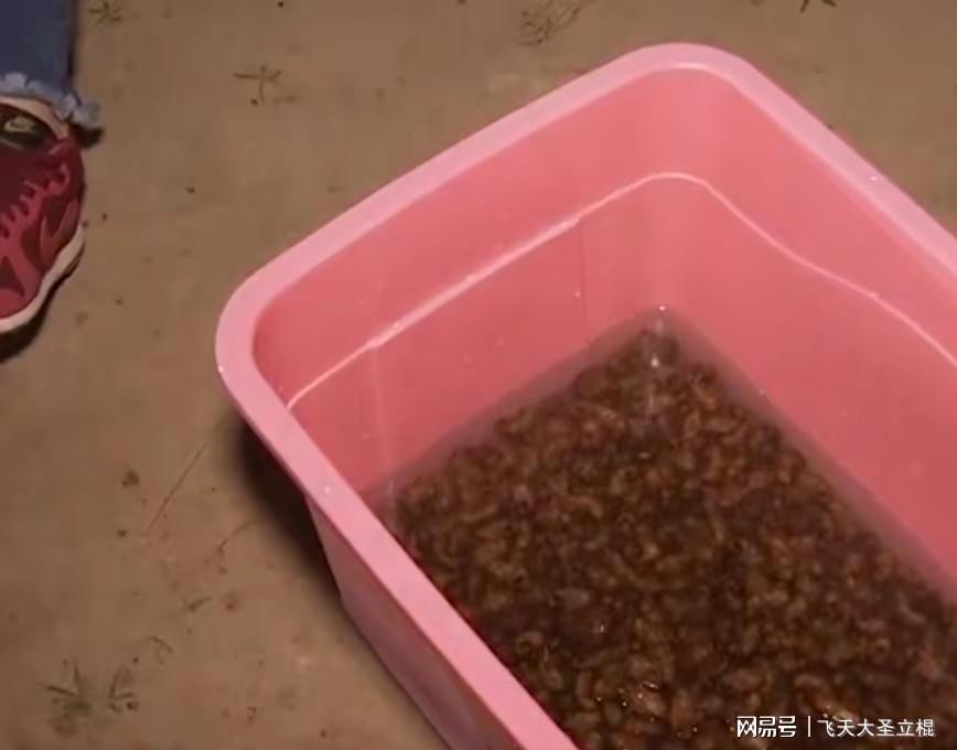 山东致富经_致富户种植山东有补贴吗_山东种植户致富