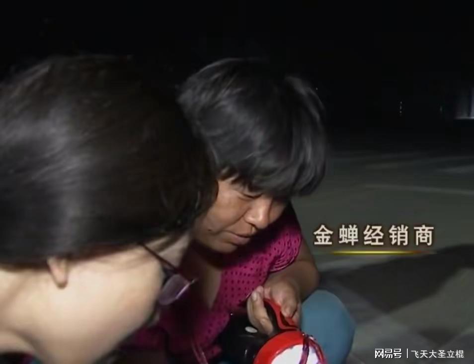 山东致富经_山东种植户致富_致富户种植山东有补贴吗