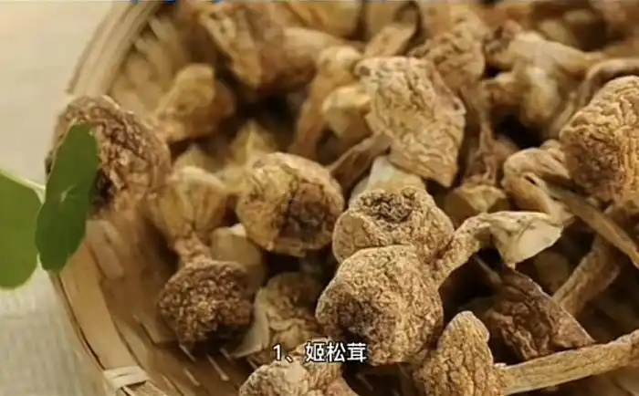 种植什么好致富_致富种植什么比较赚大钱_致富种植好项目大全