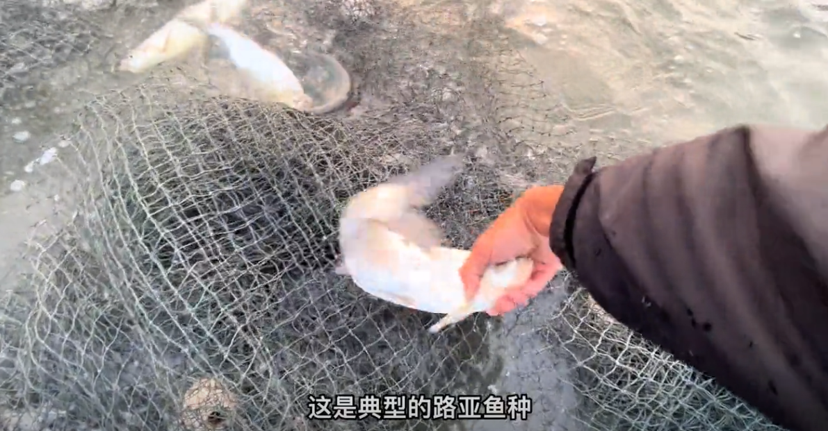 致富养殖投资项目有哪些_投资60万养殖致富项目_致富养殖投资项目怎么样