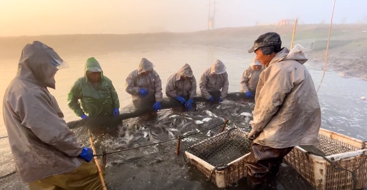 投资60万养殖致富项目_致富养殖投资项目怎么样_致富养殖投资项目有哪些