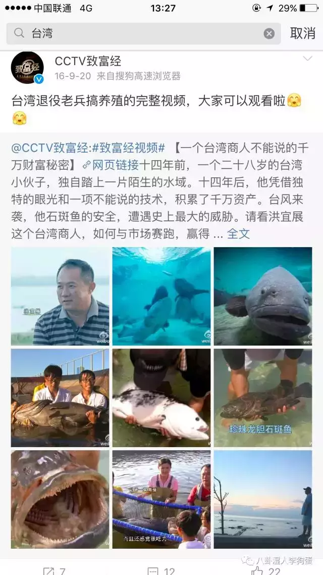 台湾泥鳅养殖视频播放_台湾泥鳅养殖成本和经济效益_台湾泥鳅 致富经