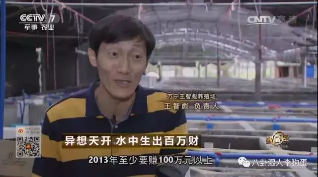 台湾泥鳅养殖视频播放_台湾泥鳅养殖成本和经济效益_台湾泥鳅 致富经