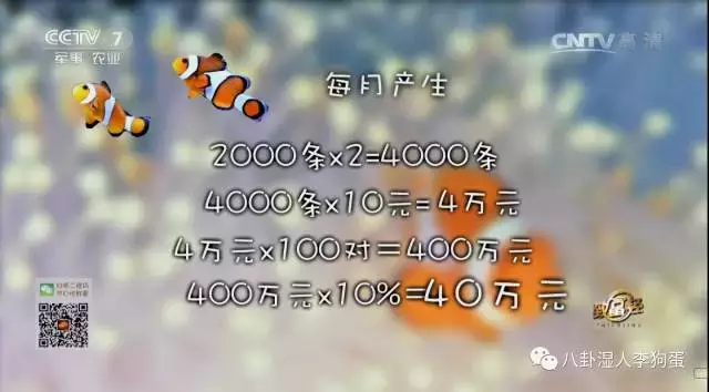 台湾泥鳅养殖视频播放_台湾泥鳅养殖成本和经济效益_台湾泥鳅 致富经