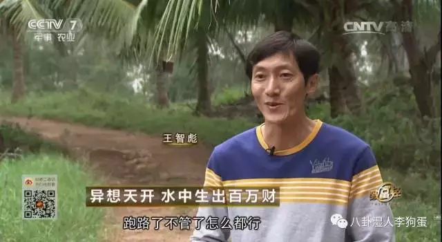 台湾泥鳅养殖成本和经济效益_台湾泥鳅 致富经_台湾泥鳅养殖视频播放