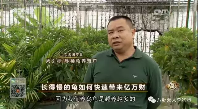台湾泥鳅养殖成本和经济效益_台湾泥鳅养殖视频播放_台湾泥鳅 致富经