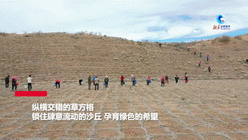 致富经朱艳养殖野兔_致富经cctv7野兔养殖_致富经养殖兔视频