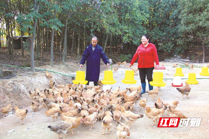 长沙县：助残机构办养殖场，学员取“致富经”