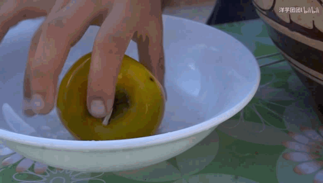 洋柿子种植方法_洋柿子多少钱一斤_种植洋柿子致富