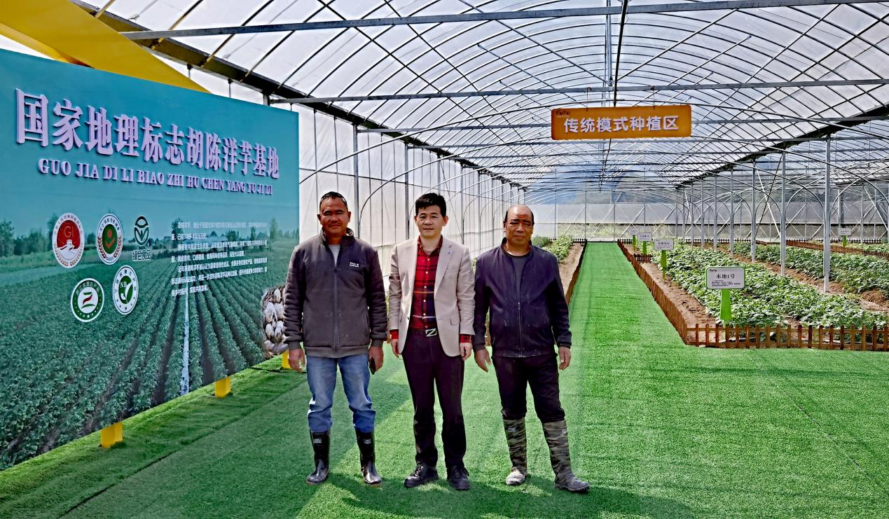 陈波豆腐致富经_致富经豆腐全集视频_致富经豆腐皮